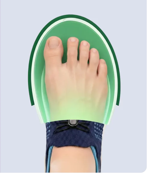 Orthopath
